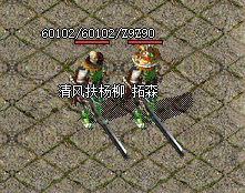 9SF传奇 9SF传奇